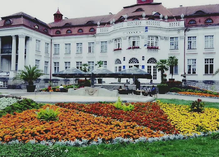 Alice Center * KLV