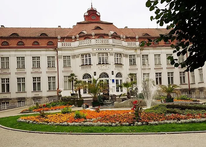 Alice Center *