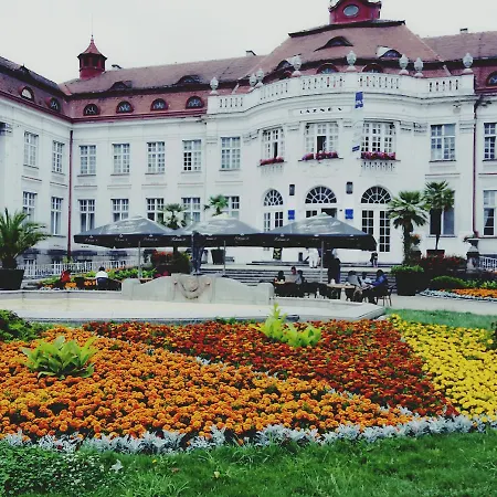 Alice Center * Karlovy Vary