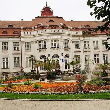 Alice Center *